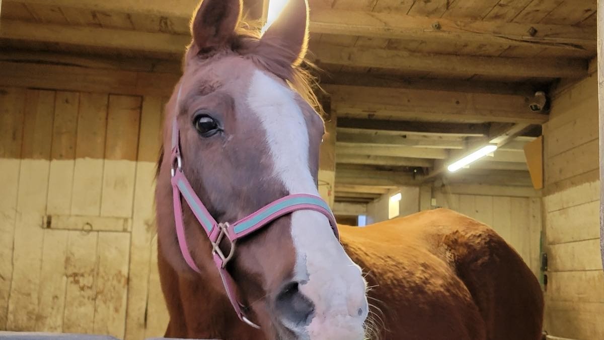 5bcd2ee9591b408e813450f36dc73b70-1776211148.jpg 5bcd2ee9591b408e813450f36dc73b70-1776211148.jpg